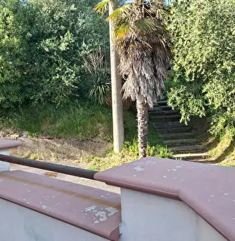 Foto annuncio 37