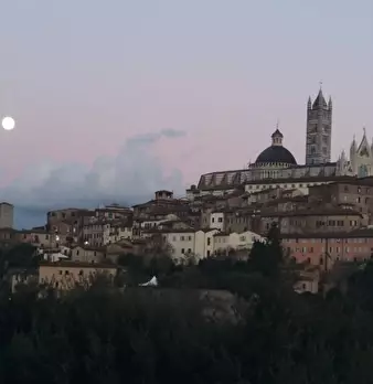 Foto annuncio 33