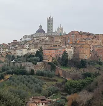 Foto annuncio 2