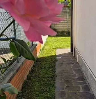 Foto annuncio 6
