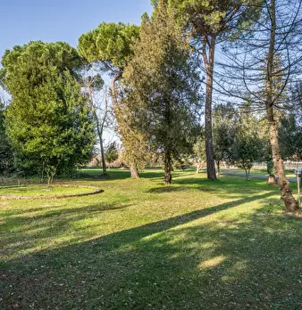 Foto annuncio 66