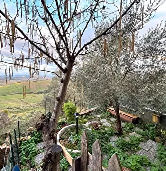 Foto annuncio 19