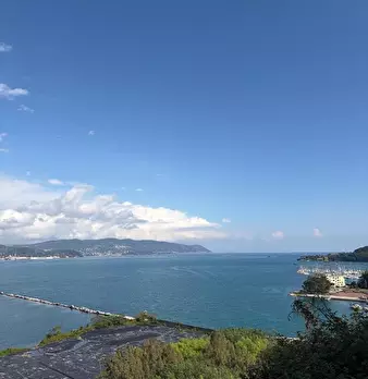 Foto annuncio 12