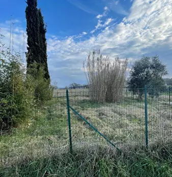 Foto annuncio 36