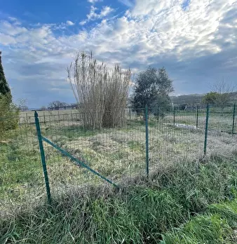Foto annuncio 35