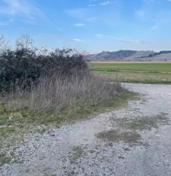 Foto annuncio 39