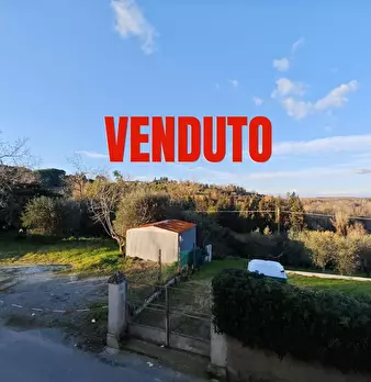 Foto annuncio 1