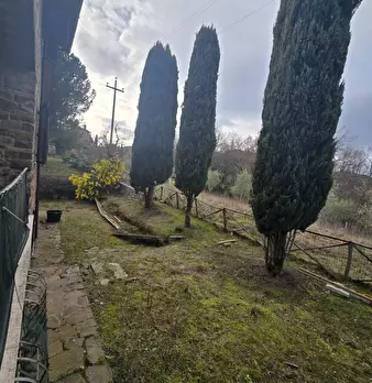 Foto annuncio 9