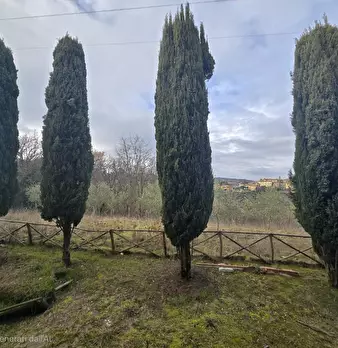 Foto annuncio 11