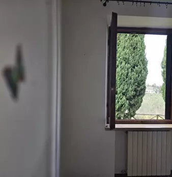 Foto annuncio 36