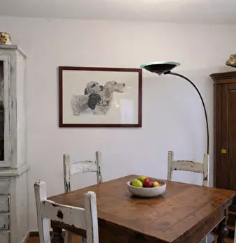 Foto annuncio 29