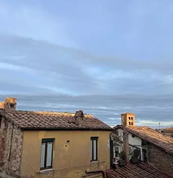 Foto annuncio 12