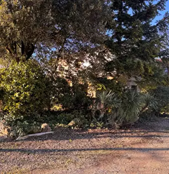 Foto annuncio 12
