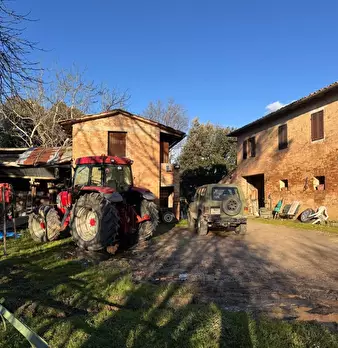Foto annuncio 6