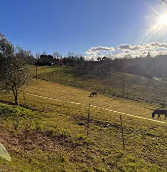 Foto annuncio 10