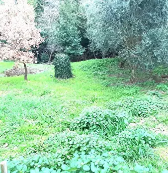 Foto annuncio 54
