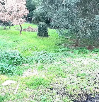 Foto annuncio 52