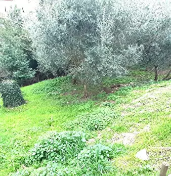 Foto annuncio 53