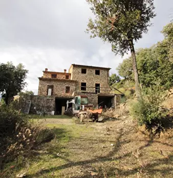 Foto annuncio 1