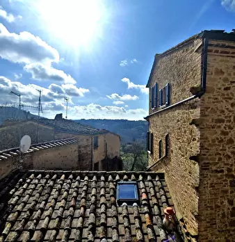 Foto annuncio 7