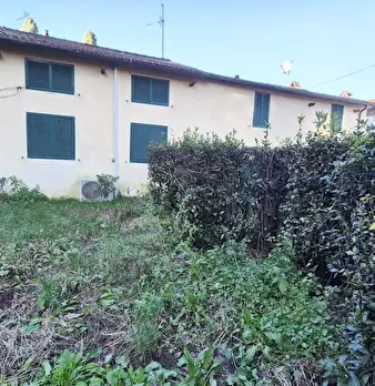 Foto annuncio 87