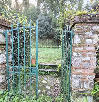 Foto annuncio 3