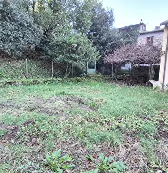 Foto annuncio 95