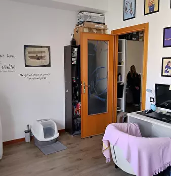 Foto annuncio 11