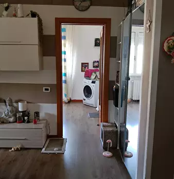 Foto annuncio 6