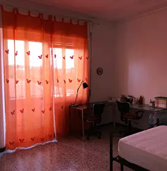 Foto annuncio 17