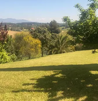 Foto annuncio 6