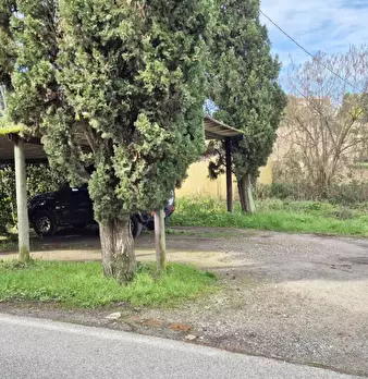 Foto annuncio 45