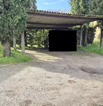Foto annuncio 46