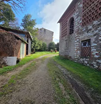 Foto annuncio 9