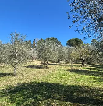 Foto annuncio 19