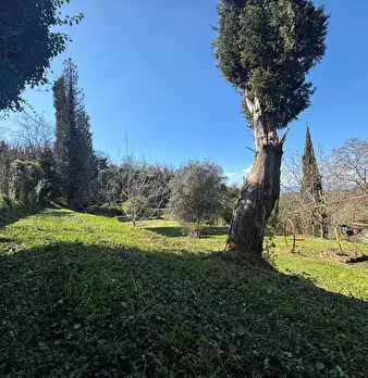 Foto annuncio 12
