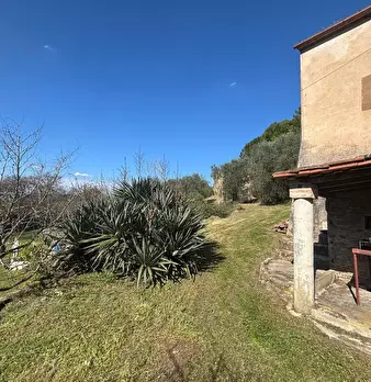 Foto annuncio 15
