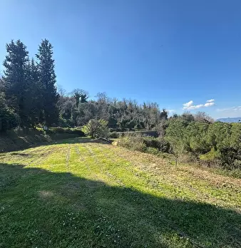 Foto annuncio 16
