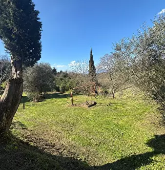 Foto annuncio 11