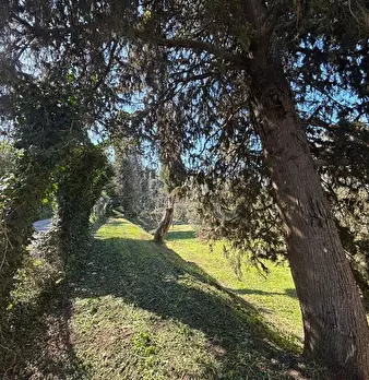 Foto annuncio 10