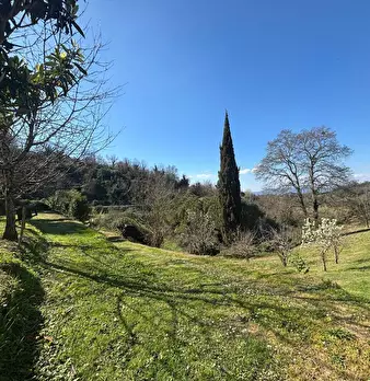 Foto annuncio 14