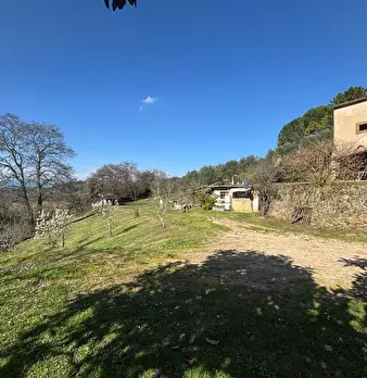 Foto annuncio 13