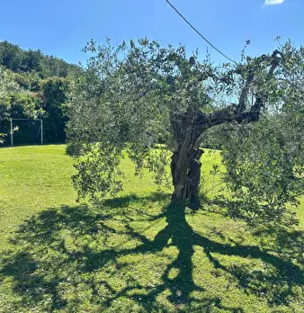 Foto annuncio 61