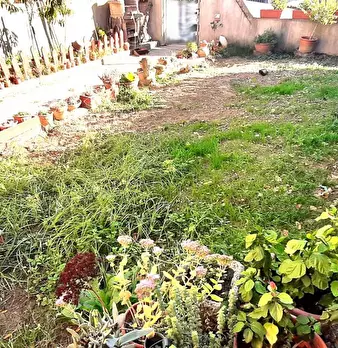 Foto annuncio 4