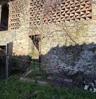 Foto annuncio 19