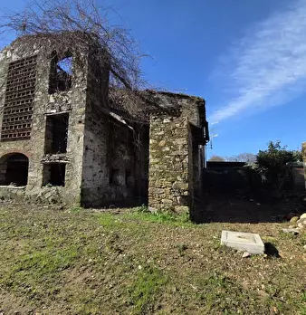 Foto annuncio 18