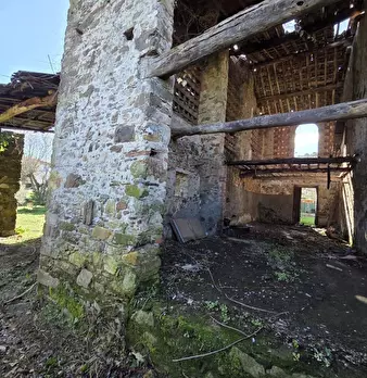 Foto annuncio 9