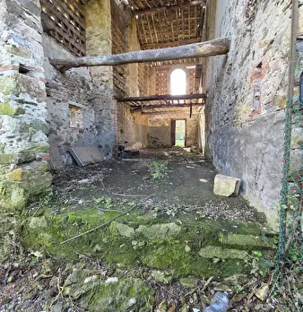 Foto annuncio 10