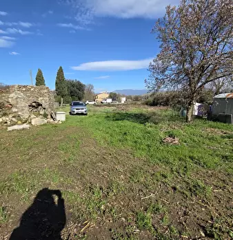 Foto annuncio 14