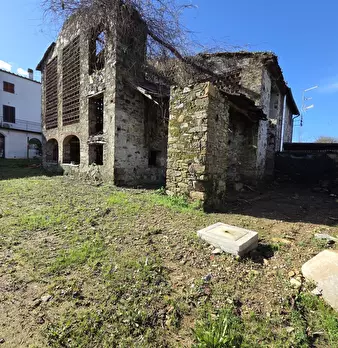Foto annuncio 13